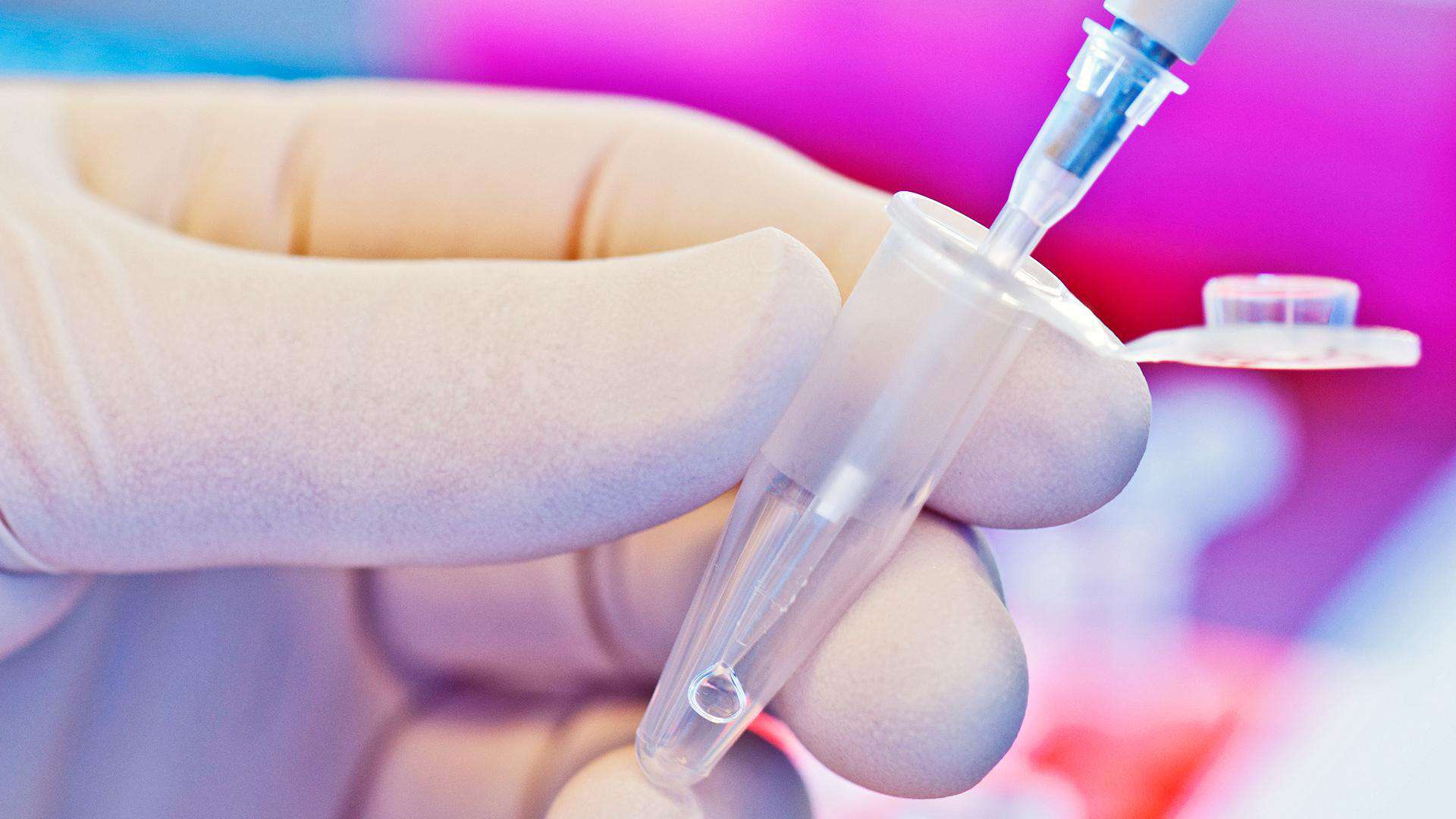 exame toxicológico para motoristas obrigatório