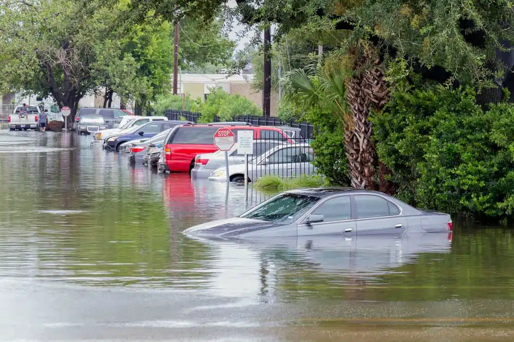 higienizacao carros enchentes danos parte eletrica